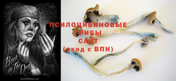 a pvp Алексин