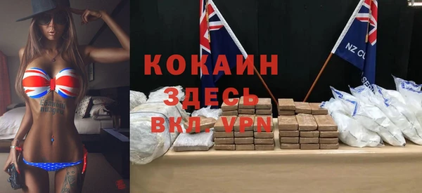 прущий лед Алзамай