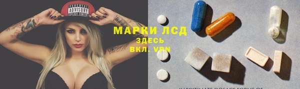 прущий лед Алзамай