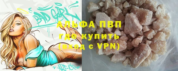 прущий лед Алзамай